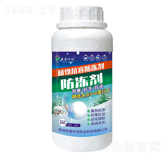 ֲ�￹��������-Ӣ���~��