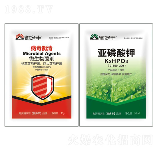 1+1�B���Բ���������-��������-����S