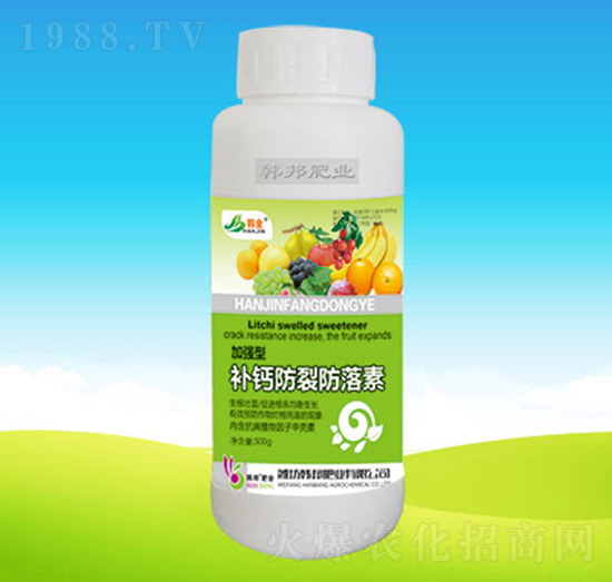 �a�}���ѷ�����-�n��ʘI(y��)