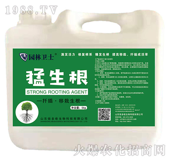 ������-�@���l(w��i)ʿ-������