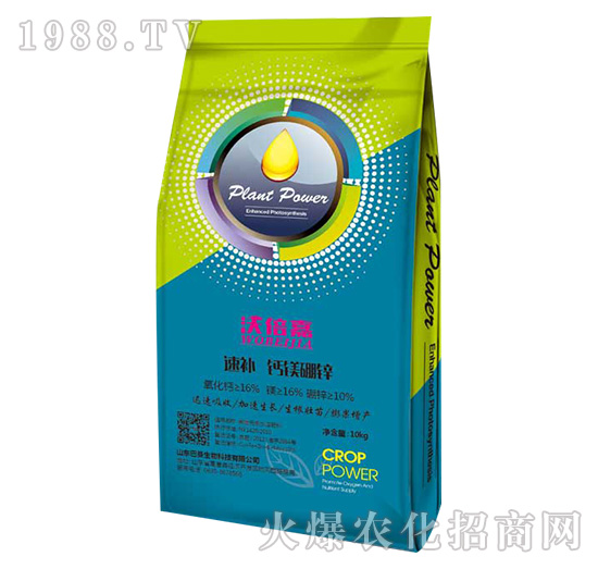 ���a�}�V���\-��������