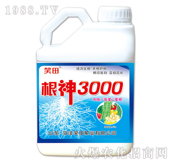 ����3000-Ц��