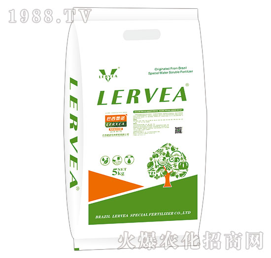 ������طN��11-5-44+TE-���Z