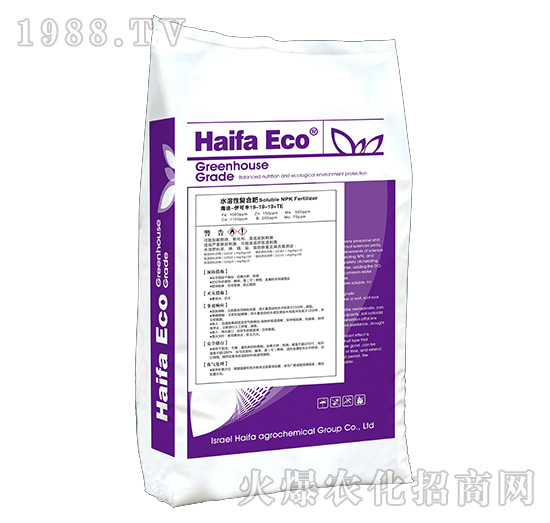 ˮ���ԏͺϷ�19-19-19+TE-�����S-����