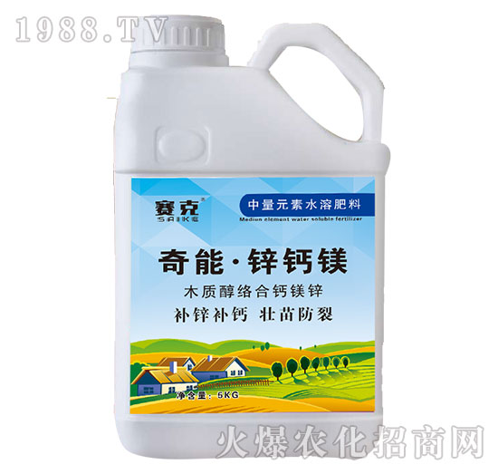 ���ܡ��\�}�V-ِ��-�_�_(d��)