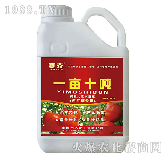 һ��ʮ��-ِ��-�_�_(d��)