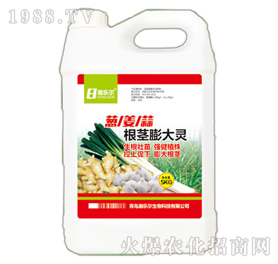 ���o����`-嫘���