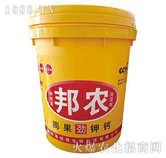 �������}-���r-�����S