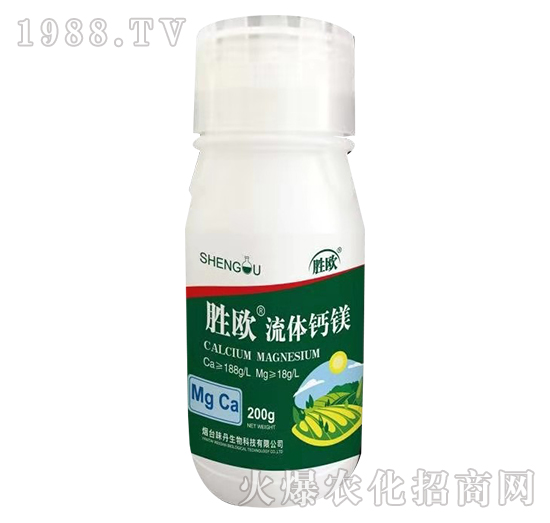 ���w�}�V-�ٚW-ζ������