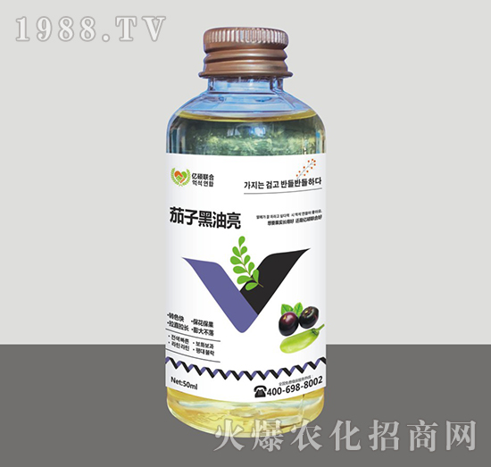 ���Ӻ�����-�R�Sֲ��