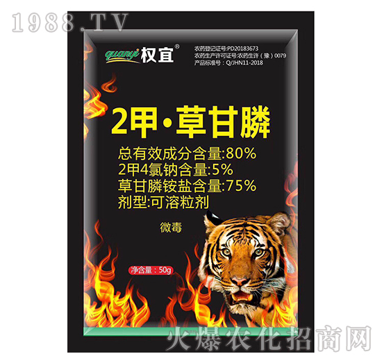 80%2�ס��ݸ��-����-�Z��