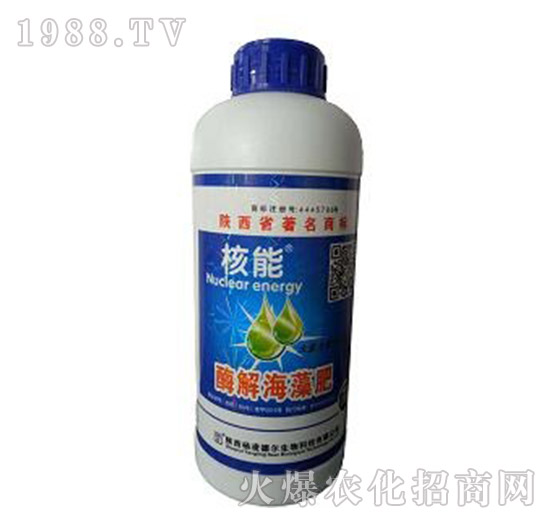 ����ø�⺣���-��?t��ng)����? style=