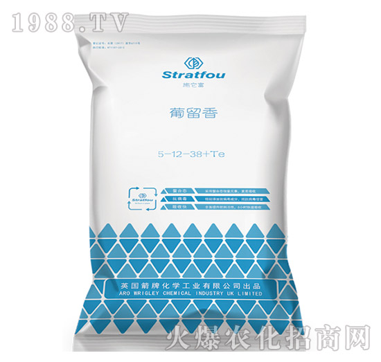 ������5-12-38+TE-ʩ����-�к̄���