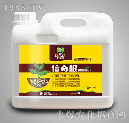 ����(qi��ng)������-�����-�����