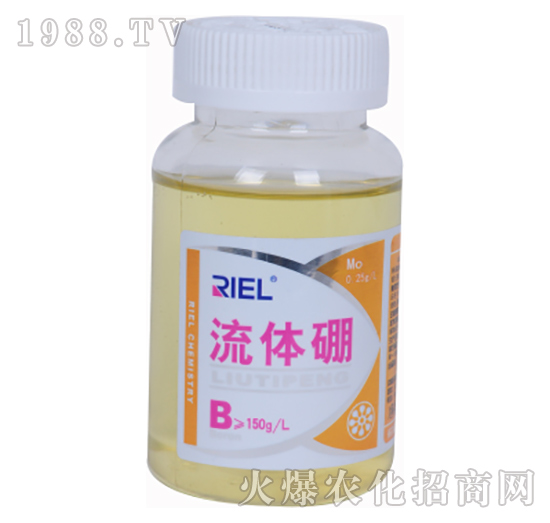 ���w��200������-����