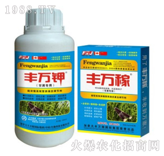 ���ጣ�ø�Ч�I�B(y��ng)Һ�B(t��i)�{��(ji��)��-�S�f��