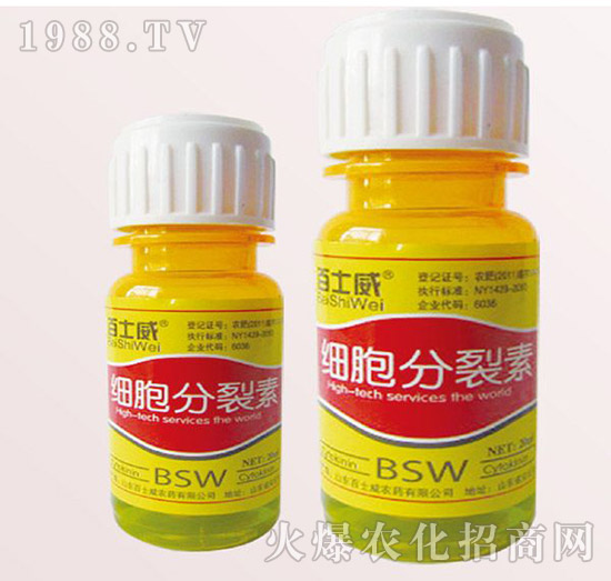 ����������-��ʿ��