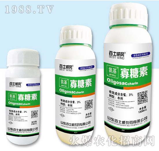 ���������أ�ƿ��-��ʿ��