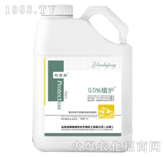 0.5%ֲ�o(h��)-�G���S-���_(d��)����