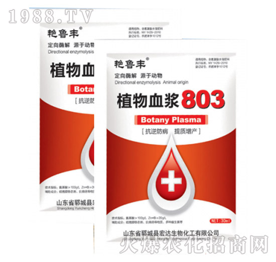 ֲ��Ѫ�{803-�G���S-���_(d��)����