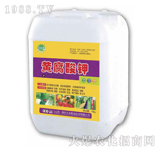 10kg�S�����-��@���S-���S�ʘI(y��)