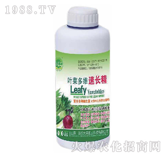 �~�˶�΢���L��-��@���S-���S�ʘI(y��)