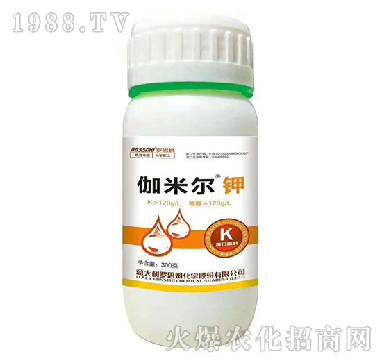 ٤�נ��-�_˼ķ-ľ�̼ь�