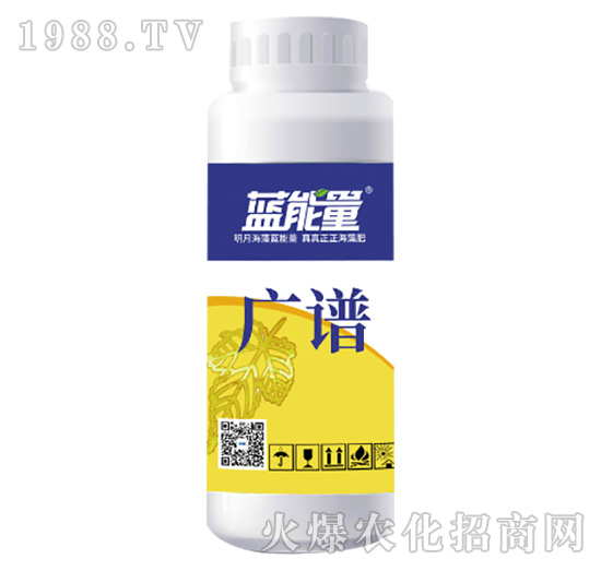 �V�V-�{(l��n)����