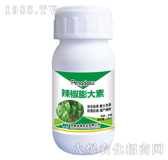 ���������-���䌍�I(y��)