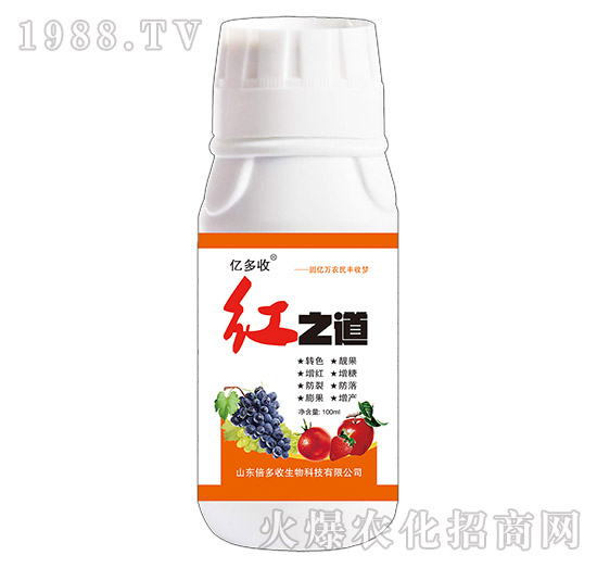 �t֮��-�|����-������