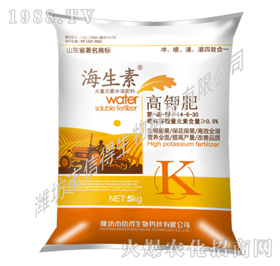 ��⛷�-������-�ŵ�