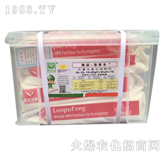 ����Ԫ��ˮ��ˮ�ܷ���19-19-19+MgO+3CaO+TE-���������S-����