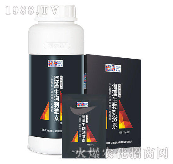 ��������̼���-Ӣ����