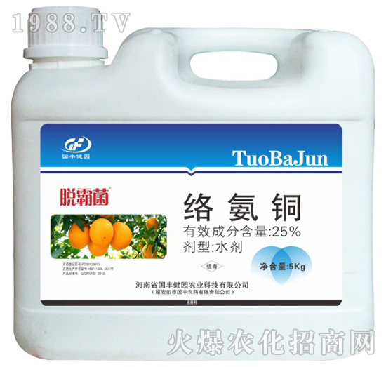 Ͱ�b�j���~-���S���@