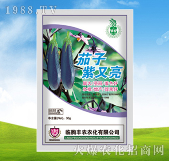 ����������-�S�r�r��