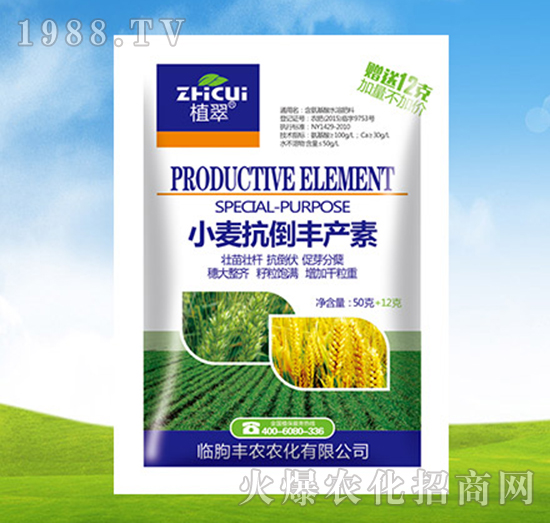 С�������S�a(ch��n)��-ֲ��-�S�r(n��ng)�r(n��ng)��