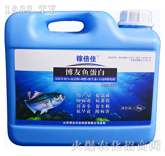 �����~(y��)����-�ڱ���-�����r(n��ng)�I(y��)