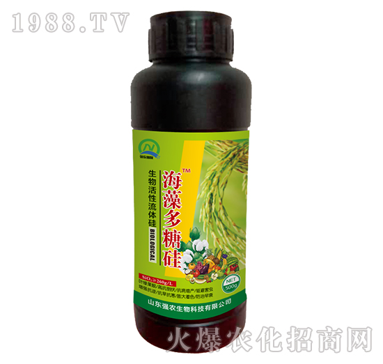 ����������w��-������ǹ�-���r(n��ng)