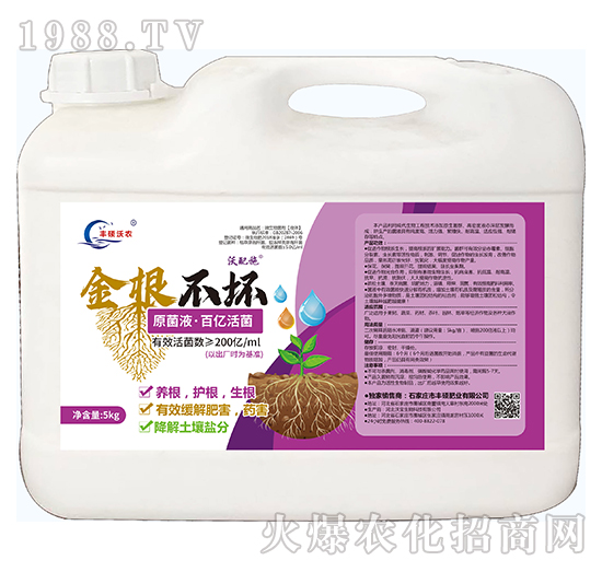 200�|ÿ����΢�������-�������-�S�T�ʘI(y��)