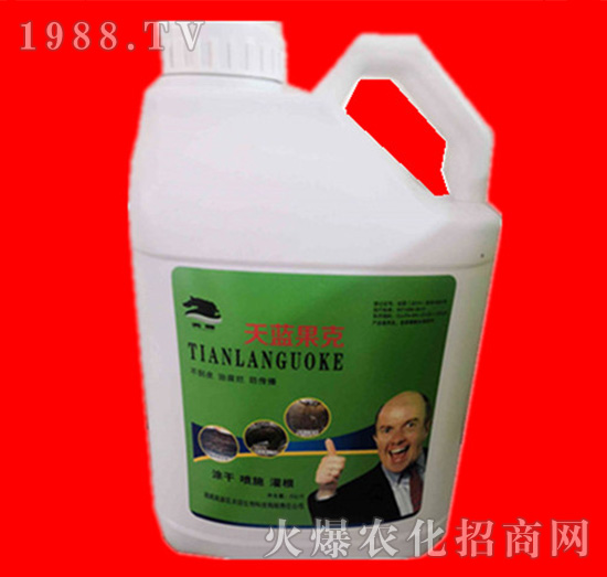 ���{(l��n)����-���R�ʘI(y��)