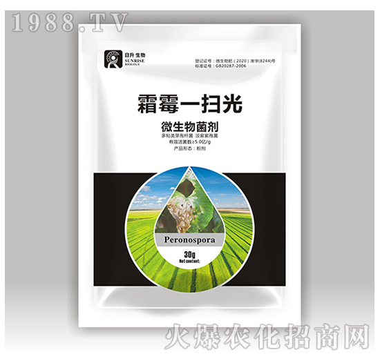 ΢�������-˪ùһ�߹�-��������