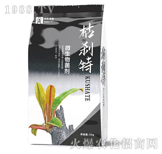 ΢�������-�݄x��-��������