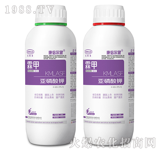 1000ml�������0-525-375+TE-�ؼ�-��������-��ķ�R