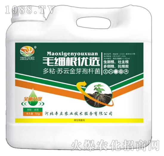 多粘·蘇云金芽孢桿菌-毛細根優(yōu)選-辛立農業(yè)
