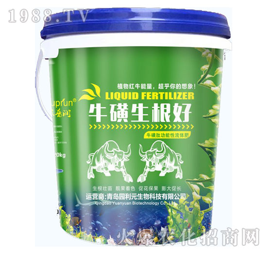 ����������-�@��Ԫ