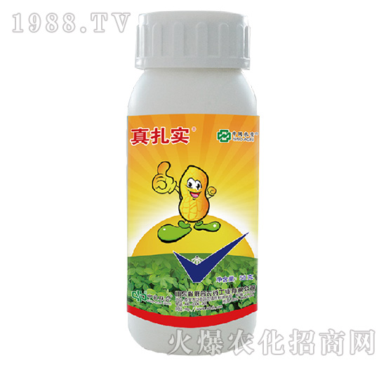 48%���x�����p��-������(sh��)-���r(n��ng)(li��n)��