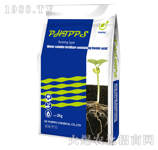 Ӣ��(gu��)�M(j��n)�ڷ�����˹������-���r(n��ng)�S