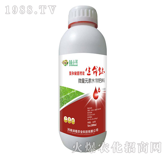 �����-��ֲ