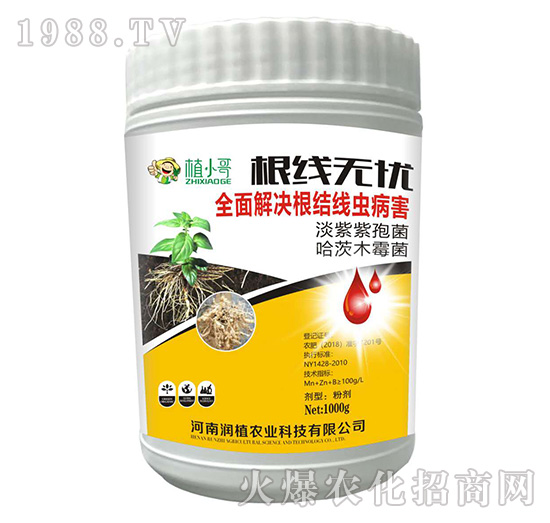 ����(xi��n)�o(w��)�n(y��u)-��(r��n)ֲ