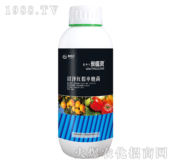 �ӝɼt�نΰ���-̿���`-̩����